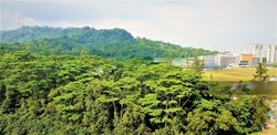 Foresque Residences (D23), Condominium #181234162